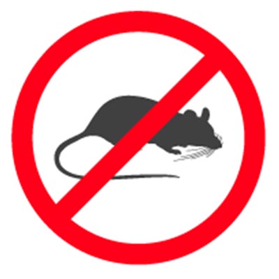 Rat Rodent Exterminators in Simi Valley and Ventura County CA